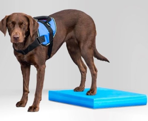 [HS-197252] Balance Pad FitPAWS